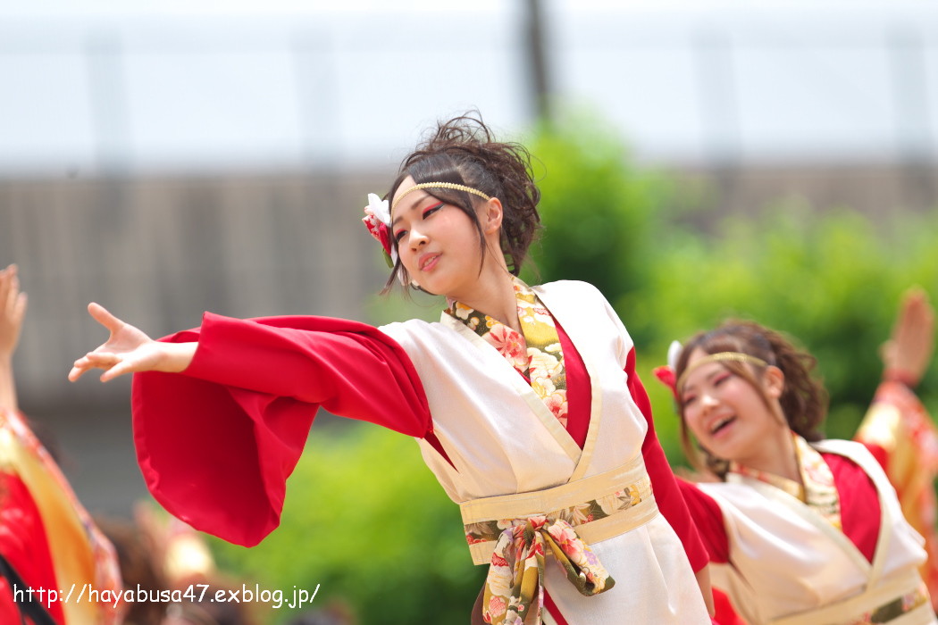 犬山踊芸祭 vol.7_a0095531_1731888.jpg