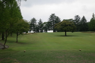 a0124132_21344863.jpg