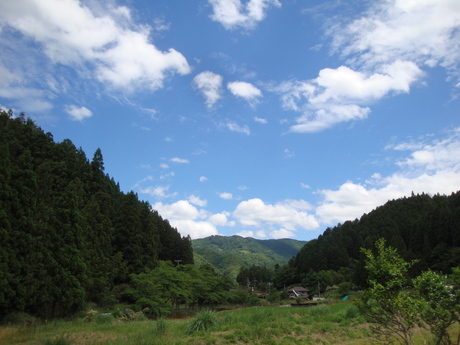 b0207632_11314482.jpg