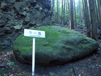 e0272335_160371.jpg