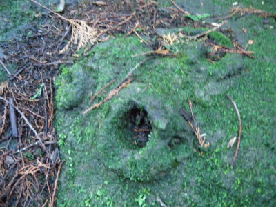 e0272335_1615489.jpg