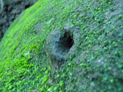 e0272335_1674937.jpg