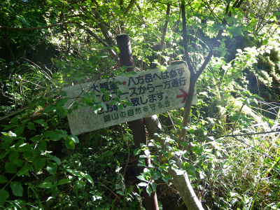 e0272335_17565562.jpg