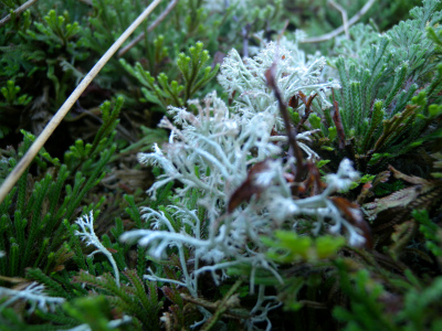 e0272335_1856690.jpg