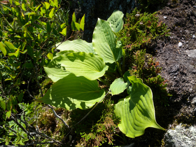 e0272335_1921103.jpg
