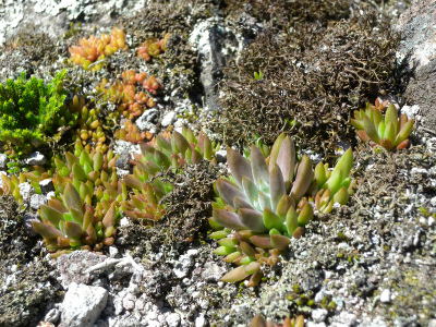 e0272335_19235972.jpg