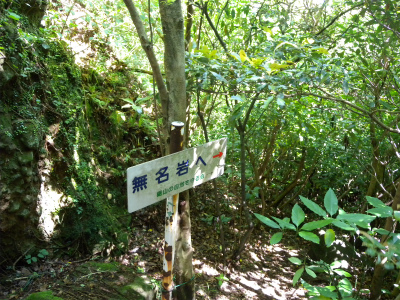 e0272335_19254410.jpg