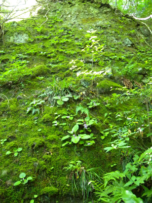 e0272335_19294397.jpg
