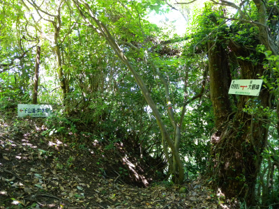 e0272335_19425547.jpg