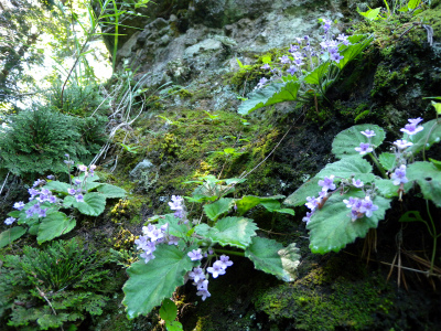 e0272335_199435.jpg