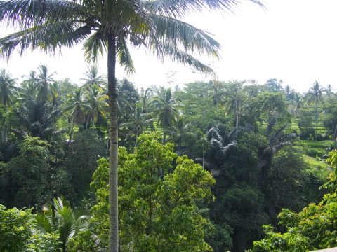 e0229350_22981.jpg