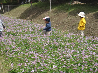 5月1,2週 みてみての輪_e0256851_0483377.jpg