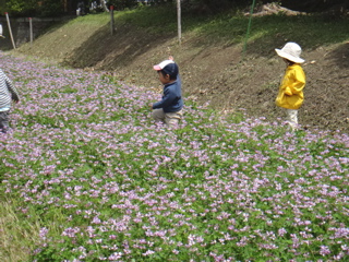 5月1,2週　みてみての輪_e0256851_0483377.jpg