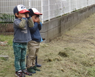 5月1,2週 みてみての輪_e0256851_0531414.jpg