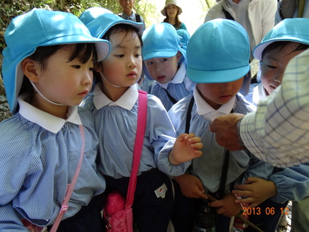 教円幼稚園園児：孝子の森へ遊びに来てくれた　　_c0108460_15411291.jpg