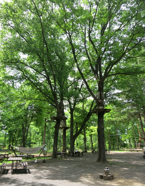 f0236260_10381729.jpg