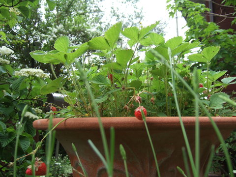 e0204064_16141025.jpg