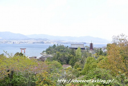 　Miyajima_e0128367_15374345.jpg