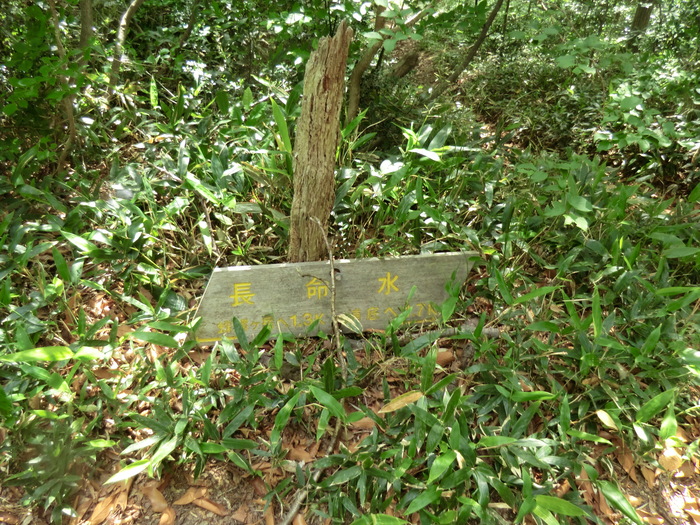 b0185573_16101272.jpg