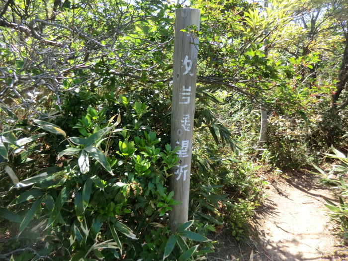 b0185573_1611920.jpg