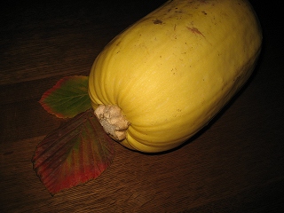 c0229483_11592632.jpg