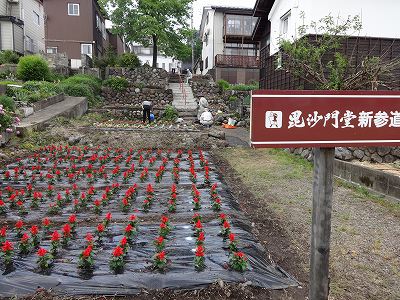 KCK跡地「新参道花植」 浦佐萌気園診療所竣工祝賀会_b0092684_18191538.jpg