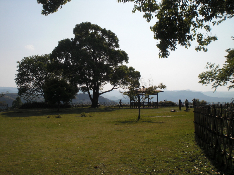 c0013687_8341770.jpg