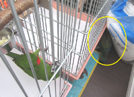 f0234590_11377.png