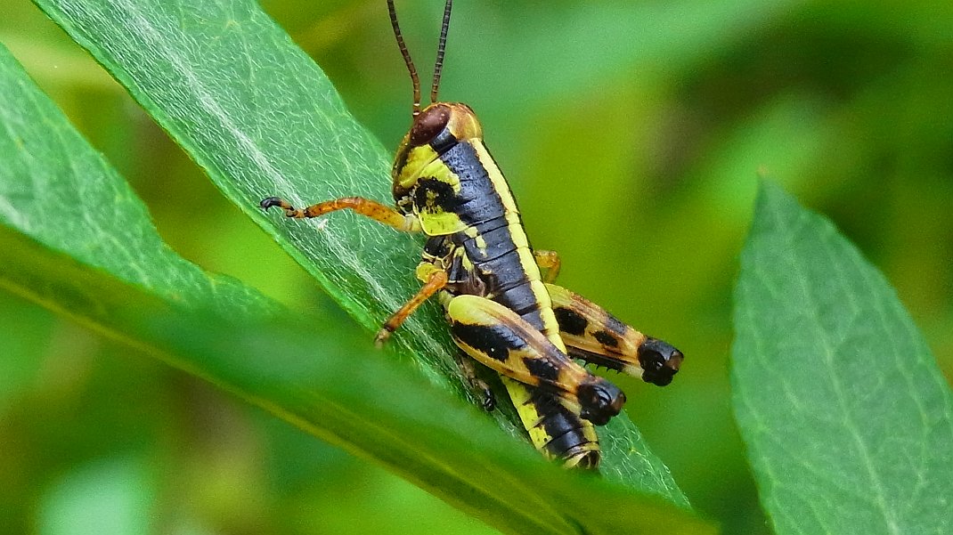 a0152692_835028.jpg