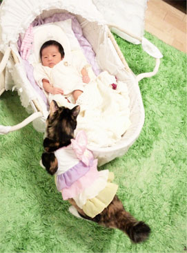 little PAUL&JOEのお洋服 & きなこお姉さん_d0224894_15482952.jpg