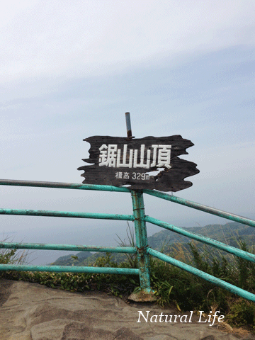 b0162000_10571189.gif