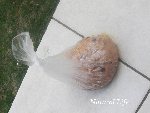 b0162000_11104444.gif