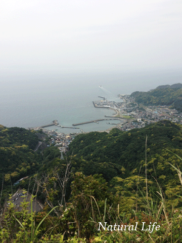 b0162000_1114753.gif