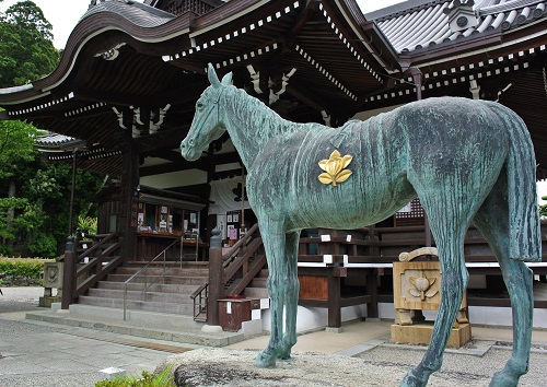 台風が反れて　壺阪寺－橘寺－岡寺－長谷寺　朱印帳巡り_d0188401_17191997.jpg