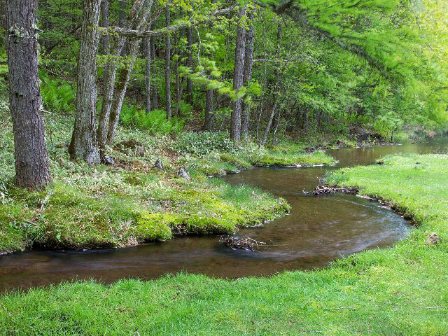 c0008502_652511.jpg