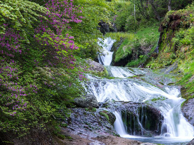 c0008502_94221.jpg