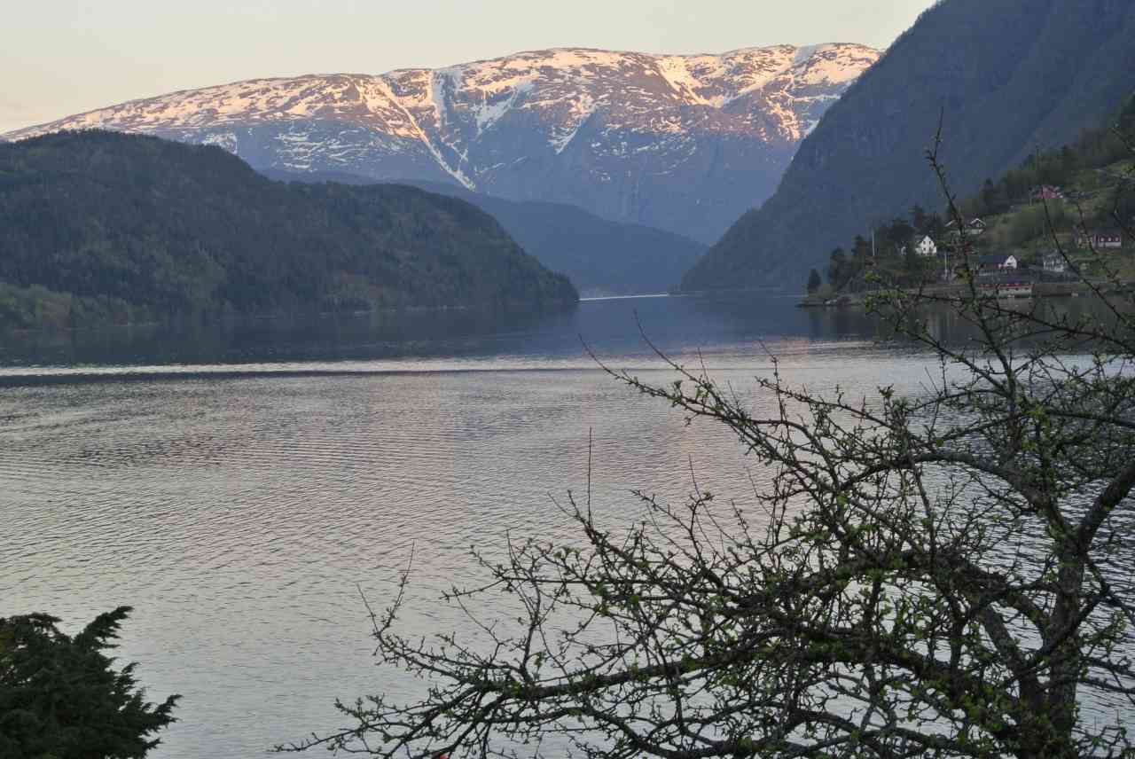 a0148206_15592236.jpg