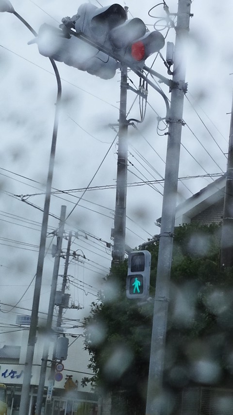 雨の朝は。_f0155808_8314918.jpg