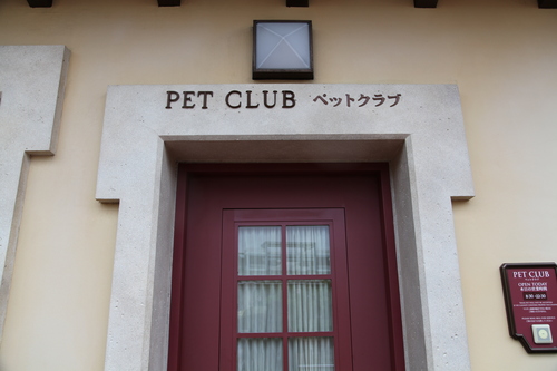 f0191413_22141137.jpg