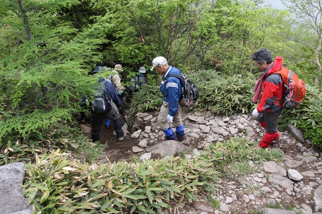 e0117318_2201745.jpg
