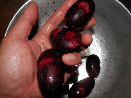 自然農や 有機野菜で。_a0125419_19431653.jpg