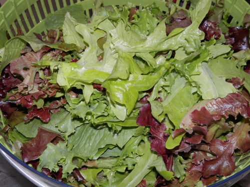 自然農や 有機野菜で。_a0125419_19563588.jpg