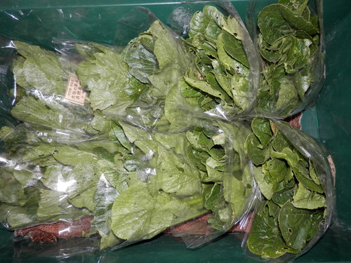 自然農や 有機野菜で。_a0125419_2022692.jpg