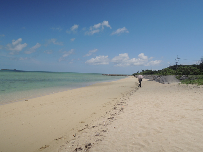 Kohamajima of the southern island._f0207320_13565348.jpg