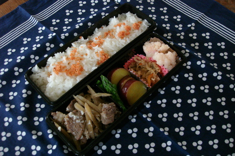 今週のお弁当_d0250123_982528.jpg