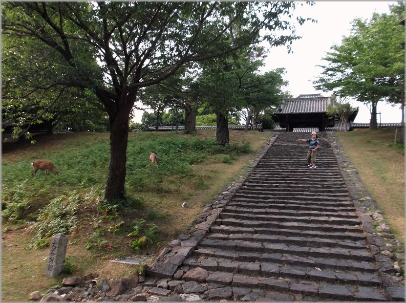 「奈良・・・東大寺・四天王と大仏様」_d0133024_11313158.jpg