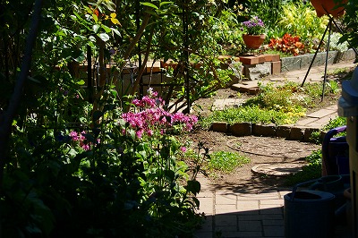 f0170524_7171991.jpg