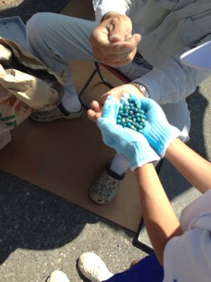 大豆種まき体験(*^_^*)_e0061225_16334689.jpg