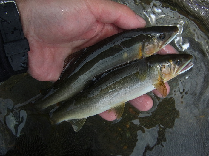 釣れない理由はなんだろう？_f0103126_18102110.jpg