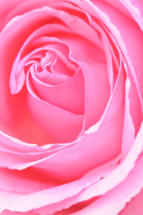 a0248728_17102066.jpg